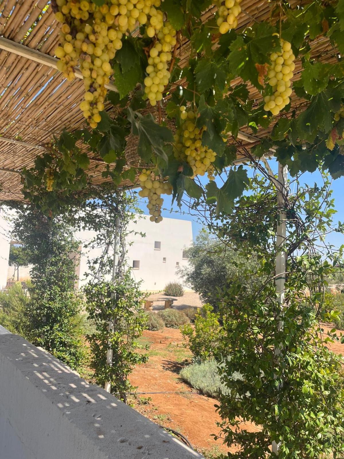 Villa Casa Bianca Di Porto Selvaggio Santa Caterina  Buitenkant foto